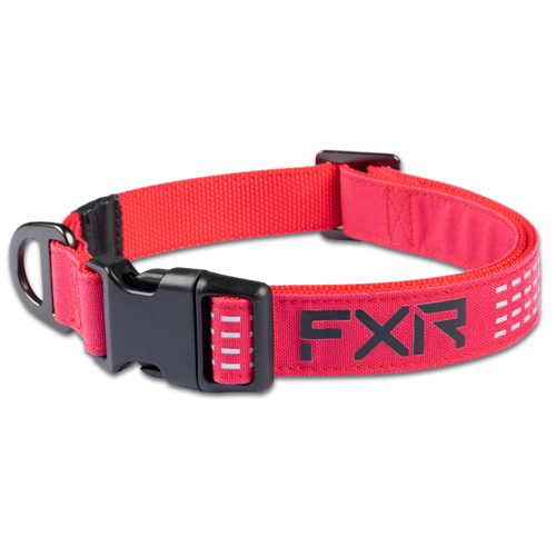 DOG COLLAR 24 RAZZ/BLACK